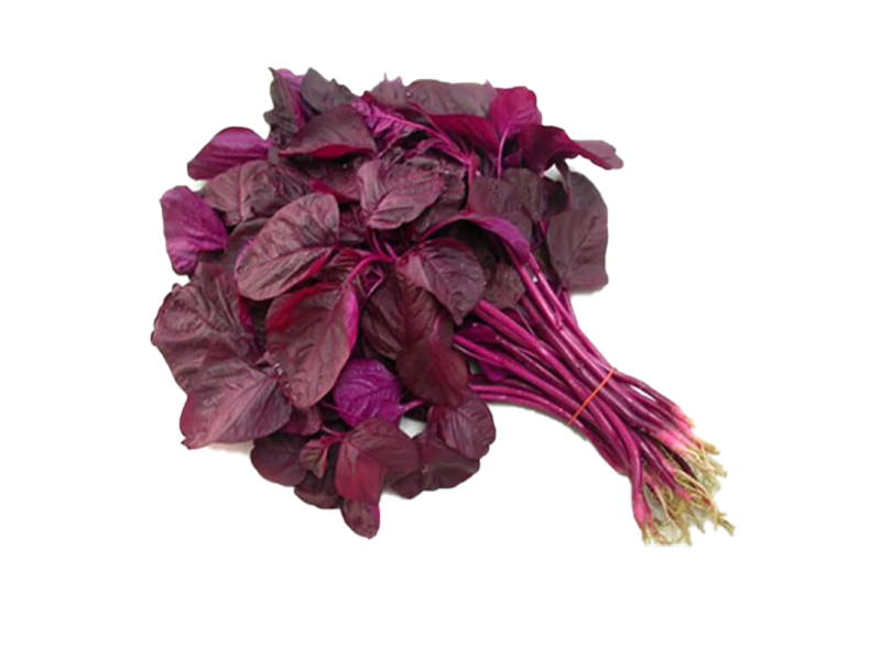 Bayam Batang Merah (红梗苋)